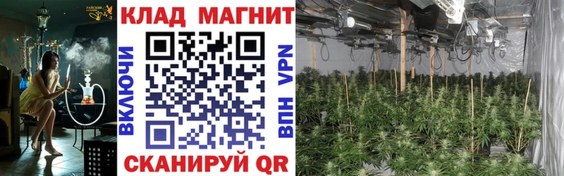 Продажа наркотиков Дмитриев ГАШИШ A PVP Cocaine Мефедрон Бутират Бошки Шишки