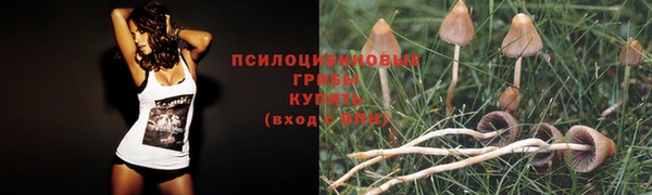 PSILOCYBIN Алапаевск