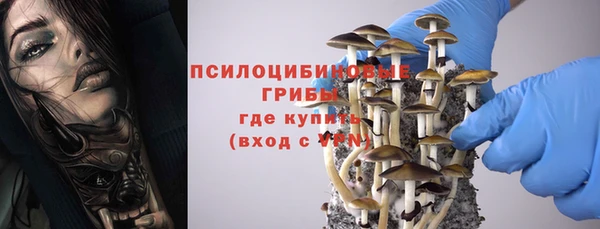 а пвп мука Апатиты