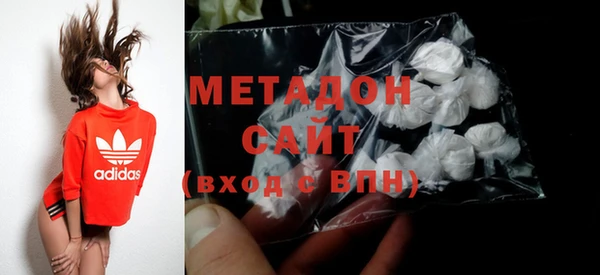 прущие грибы Дмитриев