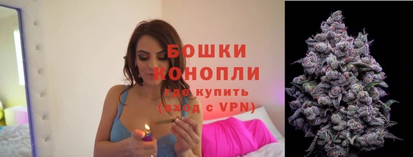 PSILOCYBIN Алапаевск