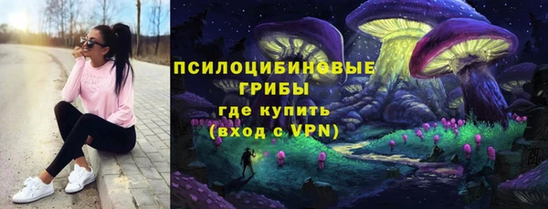 PSILOCYBIN Алапаевск