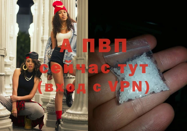 гидра Анжеро-Судженск