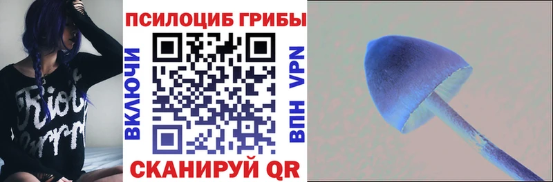 мега сайт купить закладку Дмитриев Галлюциногенные грибы Magic Shrooms