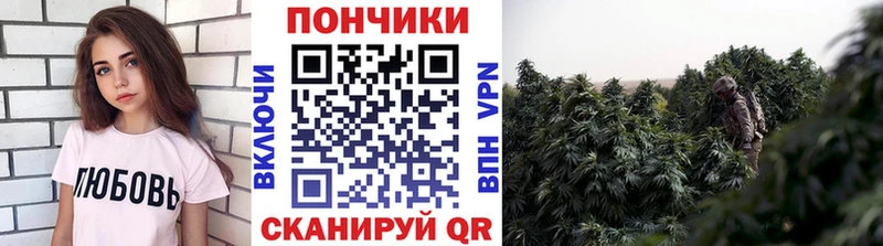 Бошки марихуана индика  Дмитриев 